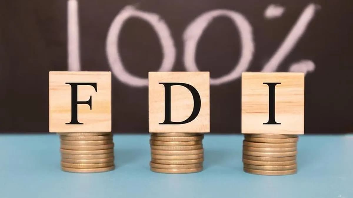 FinMin Notifies 100% FDI in Insurance; LIC Cap Stays at 20%