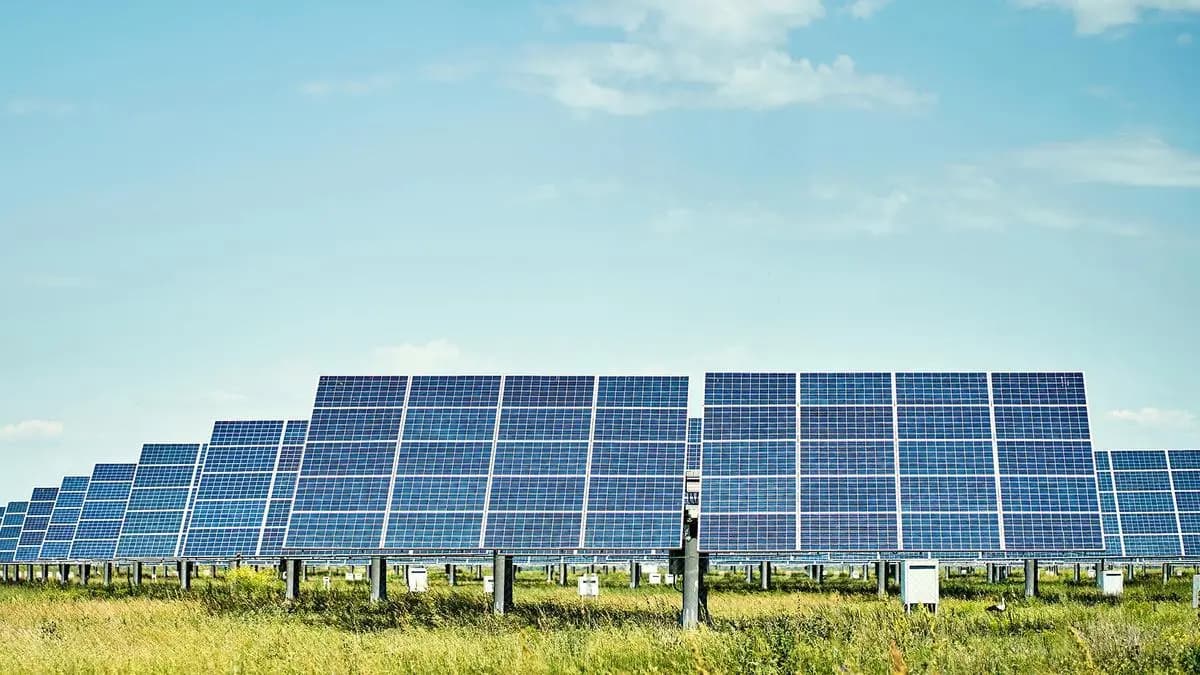 Waaree Energies Said to Hire Banks for $700 Million Share Sale