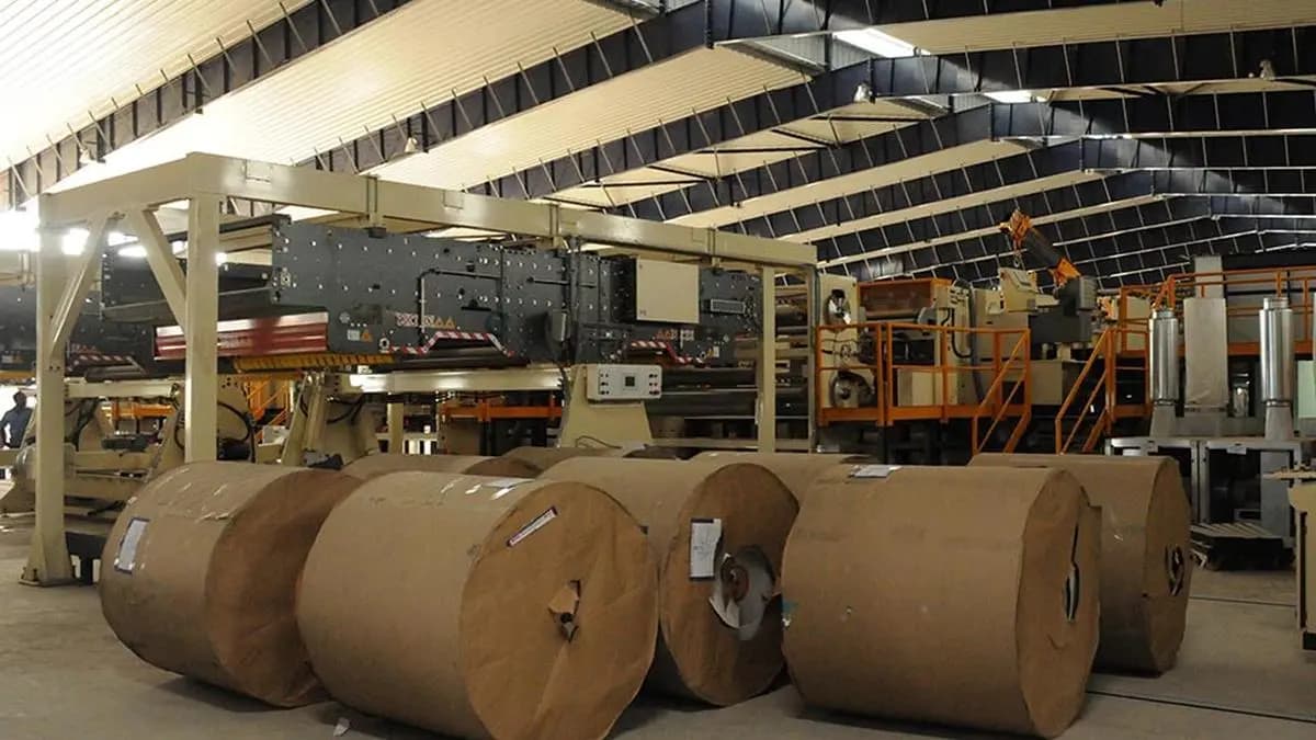 TNPL FY26 Profit Rises on Deferred Tax Restatement