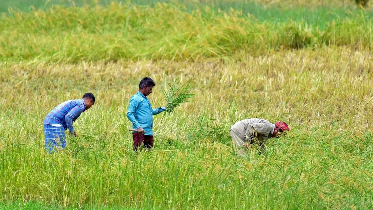 From Stubble to Strategy: How Agricultural Waste Can Power India’s Energy Transition