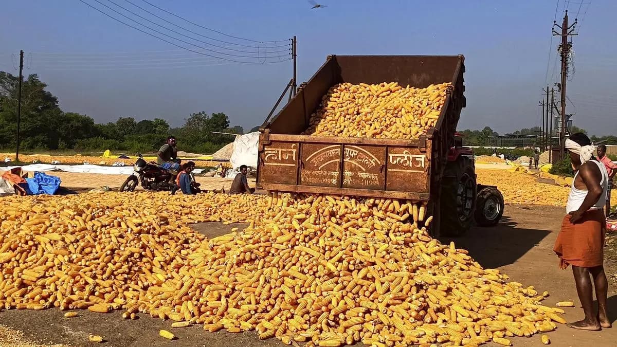 Chhattisgarh Goes All Out to Woo Investors in Food Processing Sector