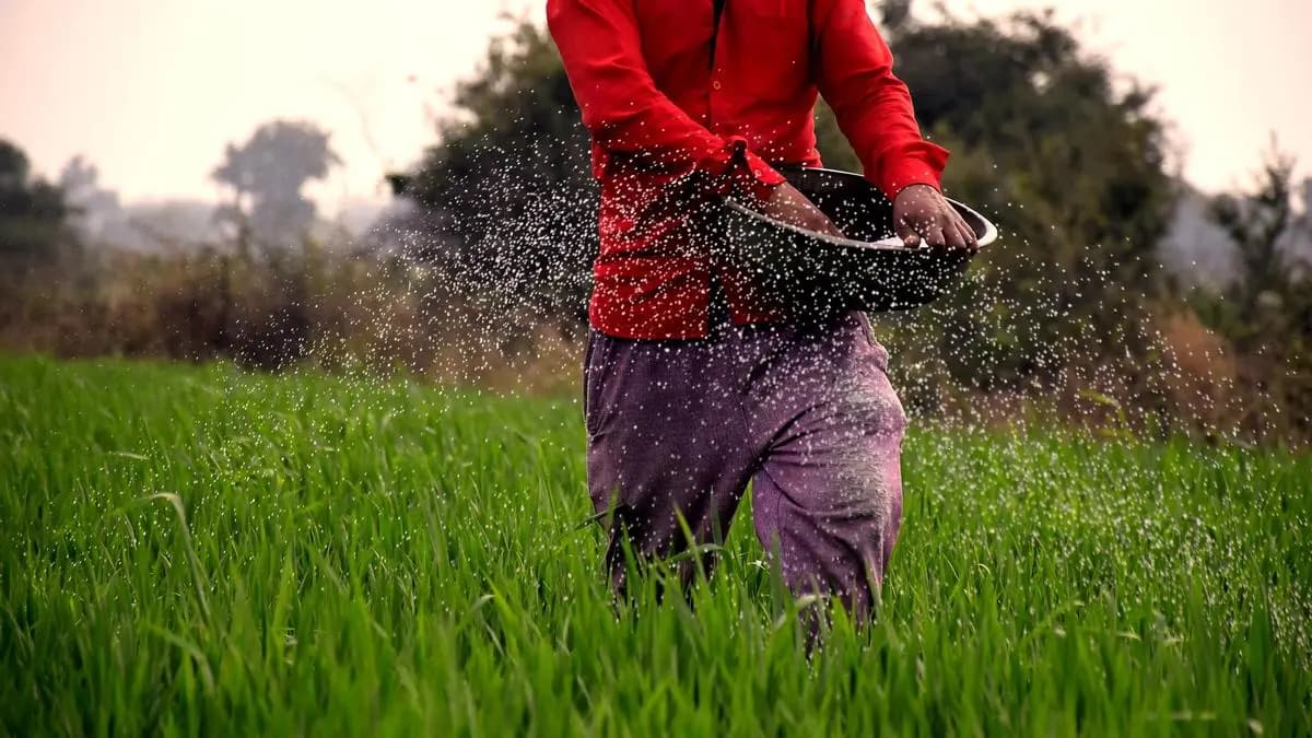 NUE Fertilizers Set to Safeguard Food Security Amid Global NPK Shortages From Ongoing Wars