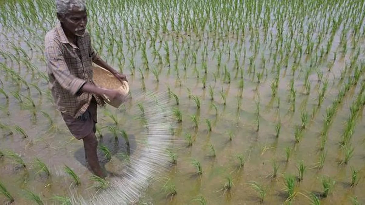 Amid Super El Nino Threat, Which PMFBY Crop Insurance Model Suits Farmers?