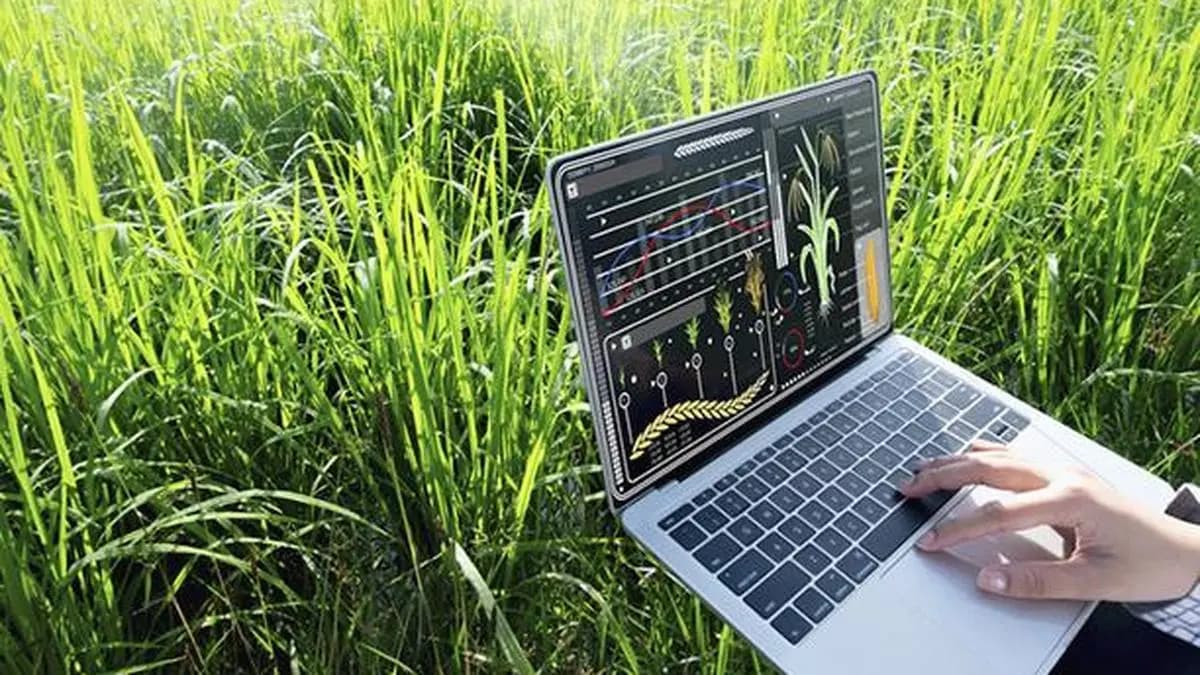 From Fields to Forecasts: The New Age of Farm Data Platforms