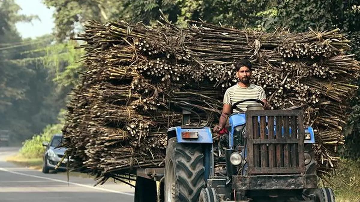 Indian Potash Ltd. Set to Revive Cooperative Sugar Mill in Odisha; to Invest ₹360 Crore