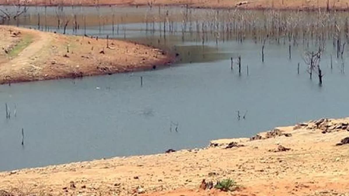 Most Models Predict El Nino May Last Until January 2027: IMD
