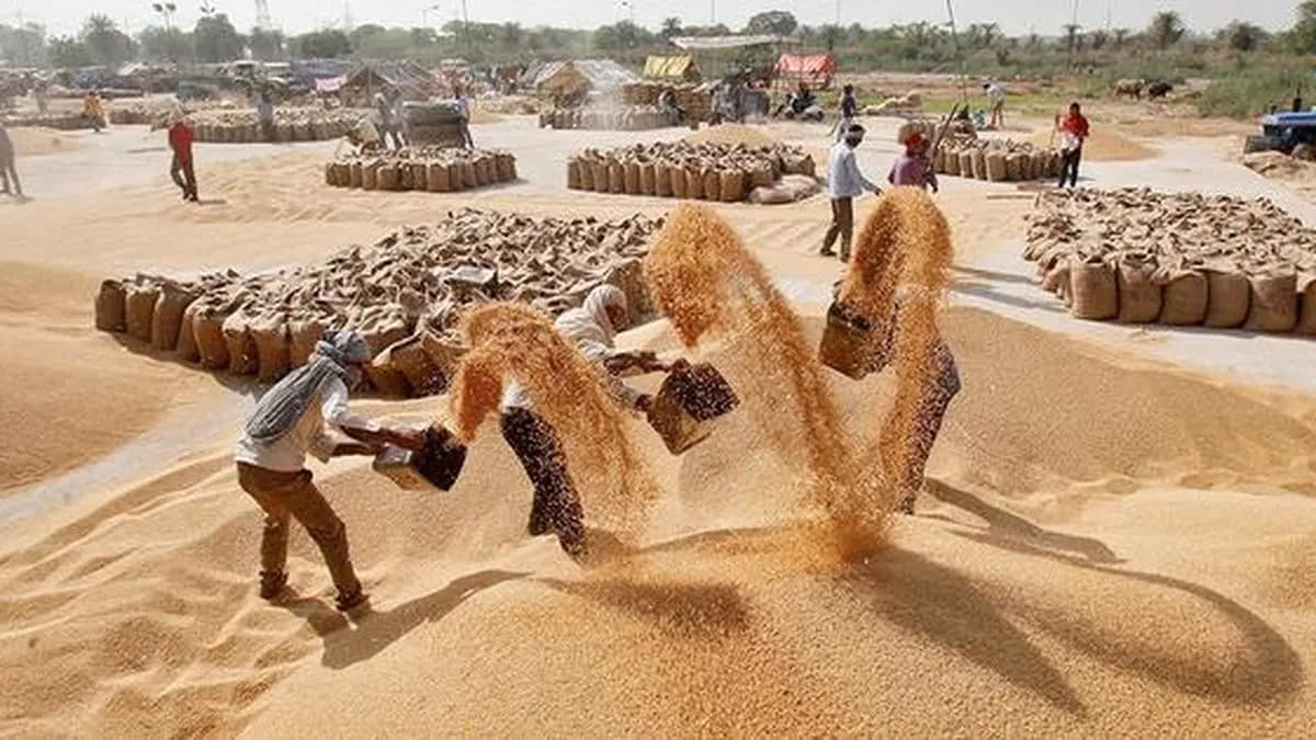 Indian Wheat Purchase Gathers Pace as M.P. Mops up 2.5 Million Tonnes