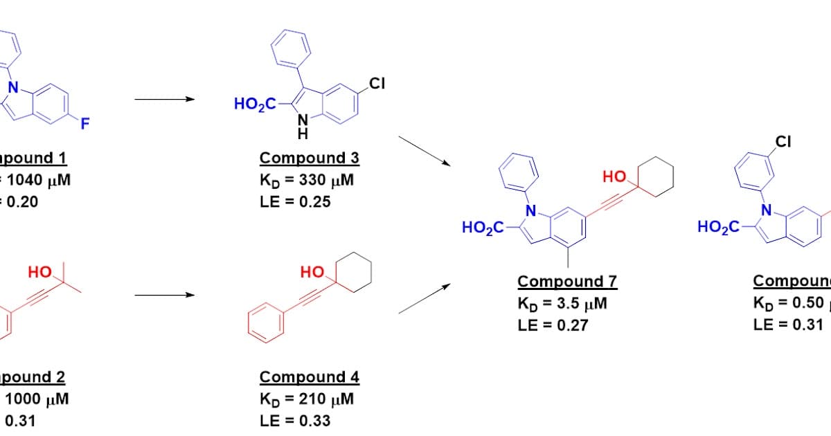 Fragment Merging – and Flipping – on the Leucine Zipper of MITF