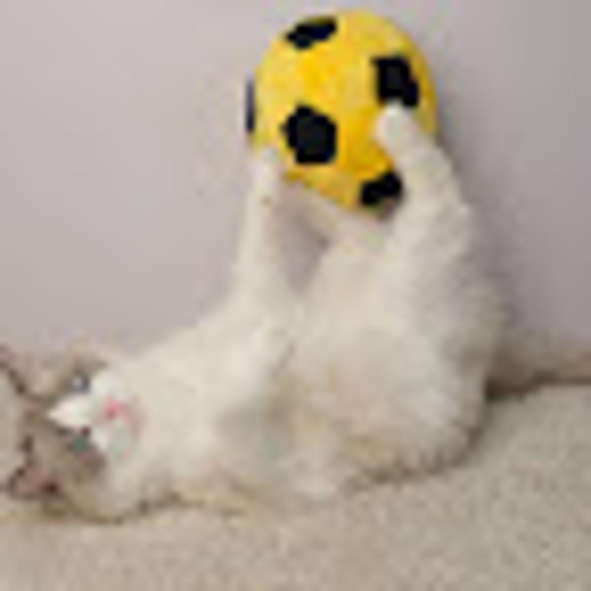 [Guest Post] FIFA v Ballon D’Or: An Off the Pitch World Cup Clash for the Ages
