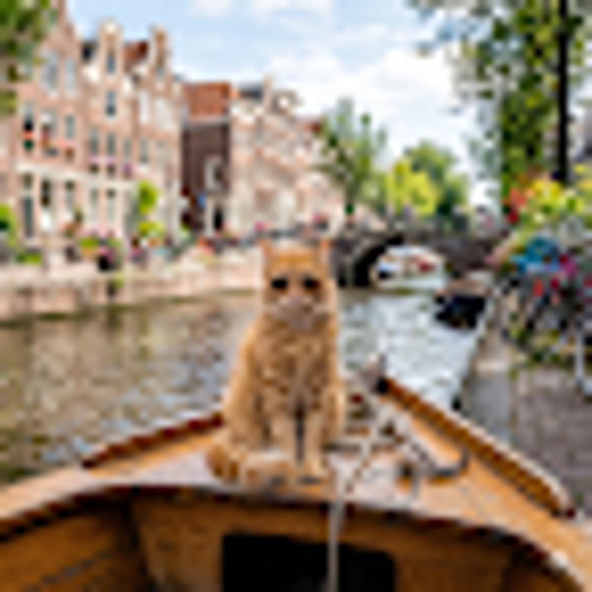 Pharma & Biotech Patent Litigation in Europe Conference Returns with IPKat Readers’ Discount