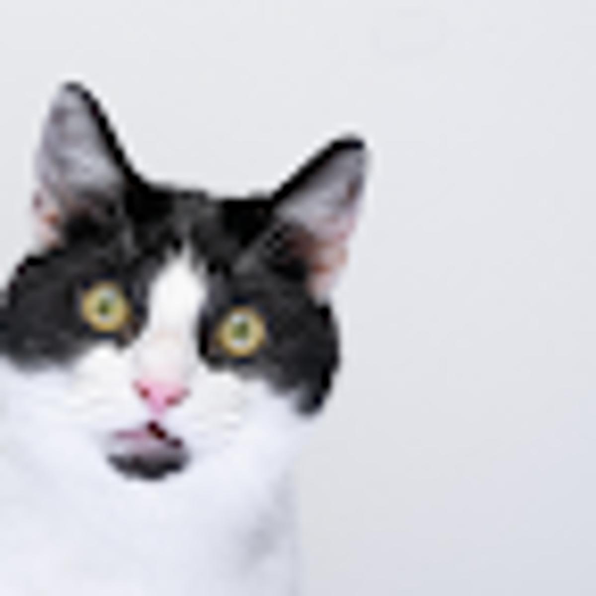 Important Update on Australia's Flip-Flopping "Best Method" Requirement for Divisional Patent Applications