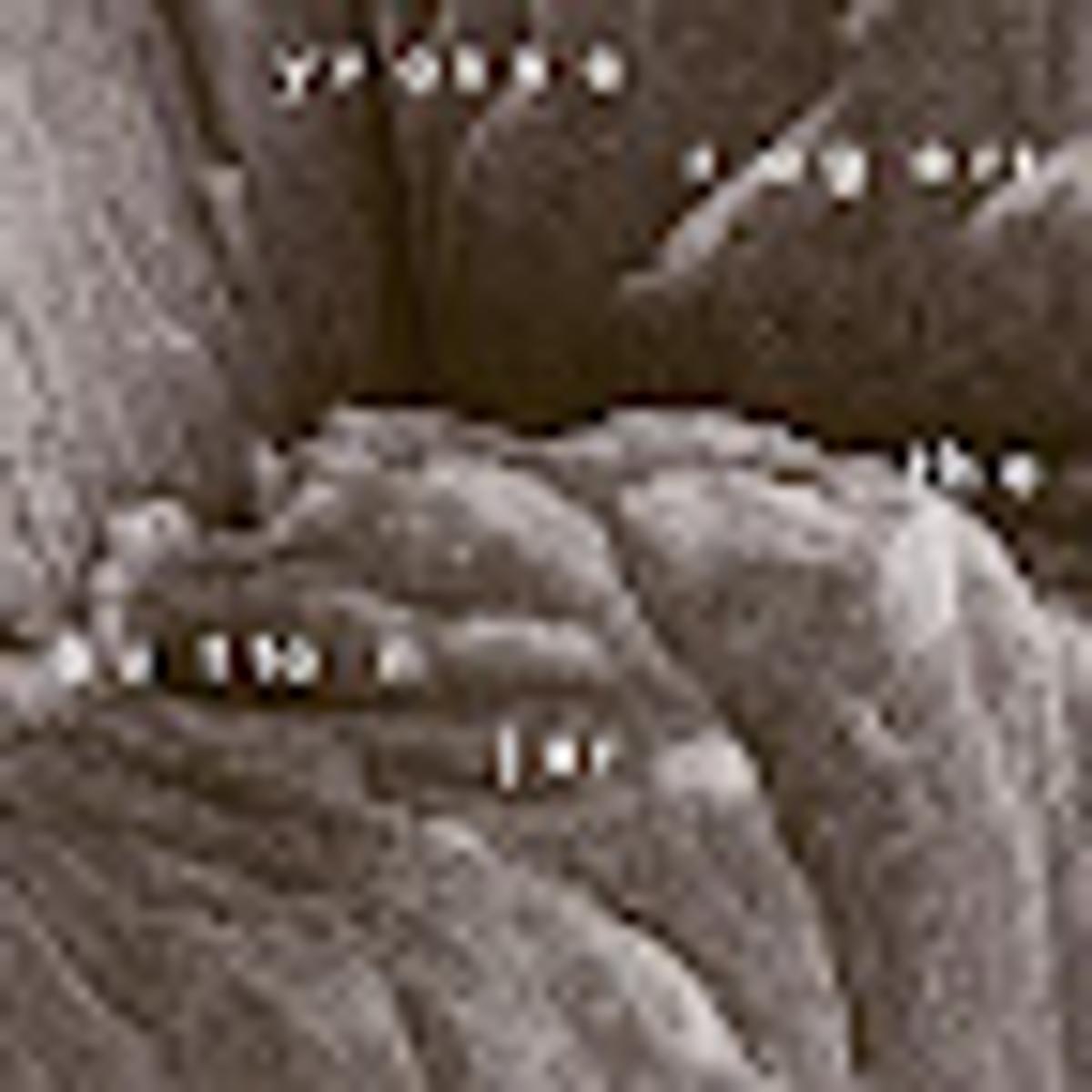 Yvonne Rogers - The Button Jar (Pyroclastic Records, 2026)