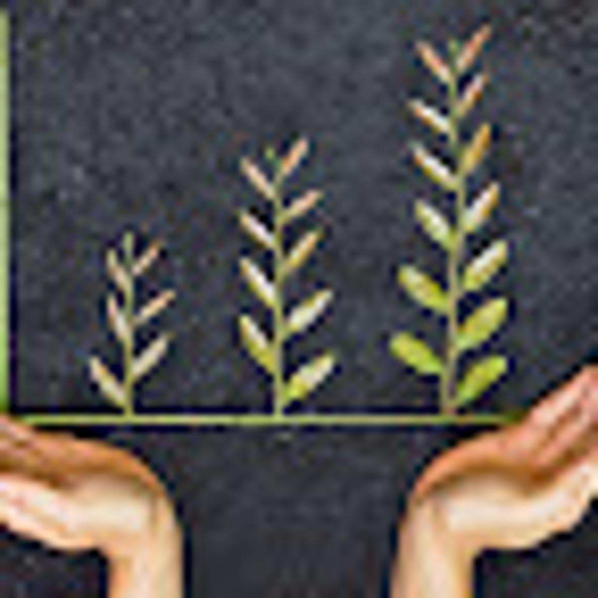 Important Questions To Ask Your New Hires