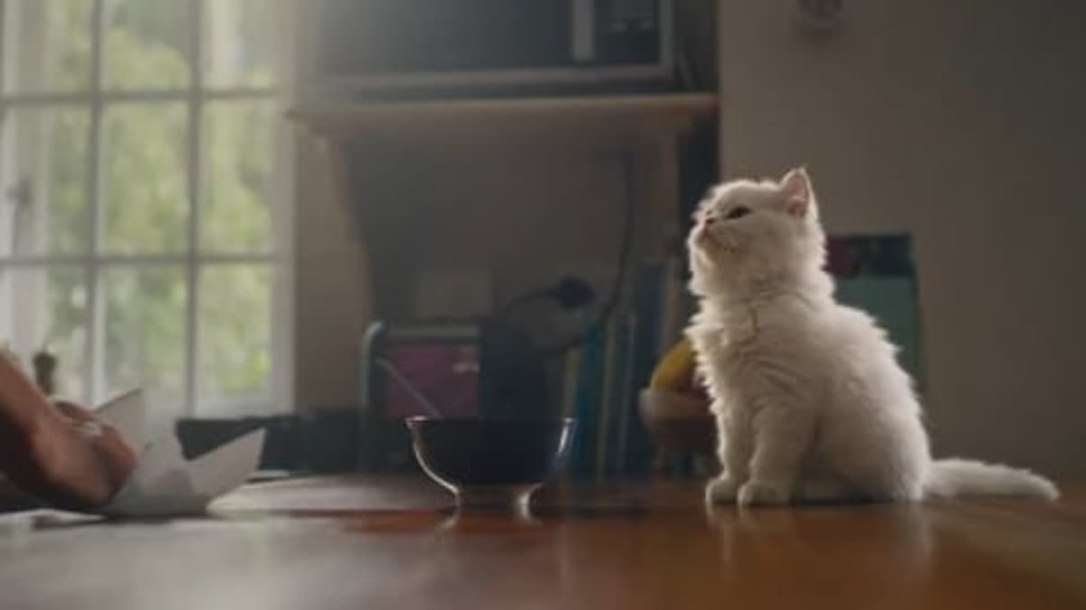 Royale Rolls Out Brand Platform ‘There for All’