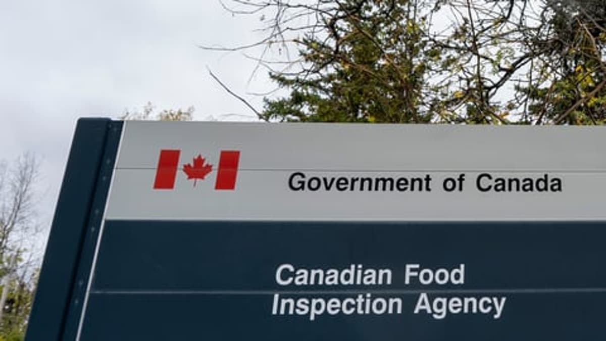 Sobeys Recalls some Products Containing Cheese over Listeria Risk