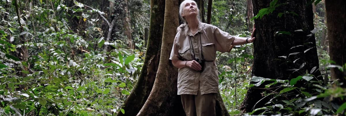 G Adventures Marks First ‘Jane Goodall Day’ With Trip Collection