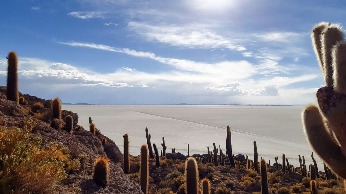 WTM Latin America 2026 Concludes with Record-Breaking Figures, Reinforces Responsible Tourism, and Confirms 2027 Dates