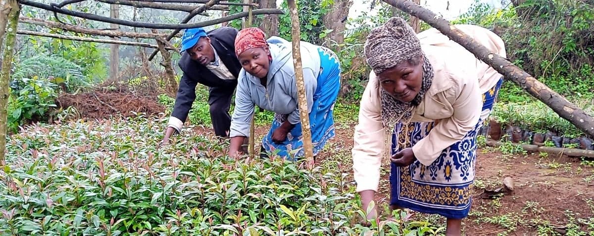 G Adventures Spotlights How Tree Growing Is Transforming Lives, Not Just Landscapes
