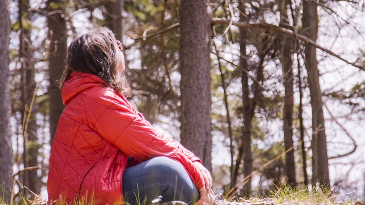 Maine Office of Tourism Partners With Mindtrip to Power AI-Driven Trip Planning Across The Pine Tree State