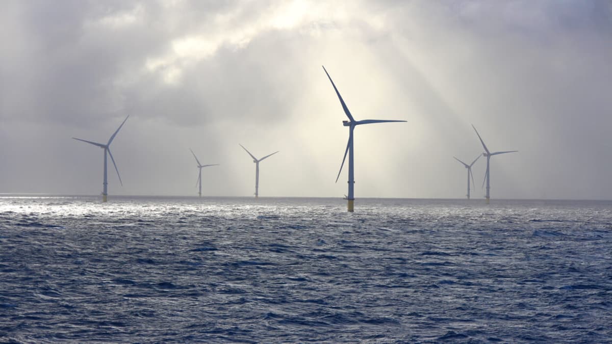 Trump Admin Abandons Fight Against Wind Energy as Clean Energy Output Surges