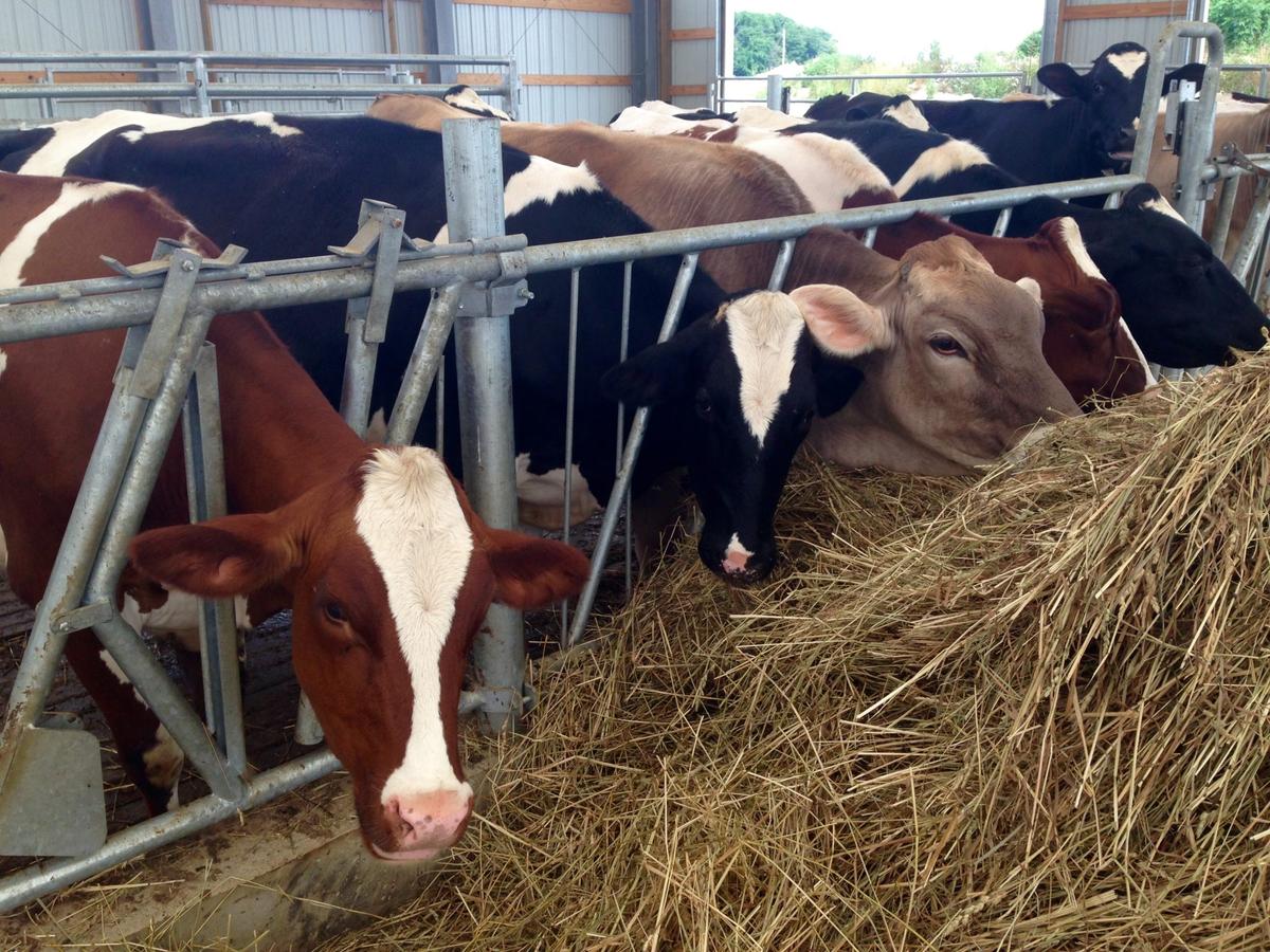 Dairy Farmer Survey Shows Concerns About Farm Data Use