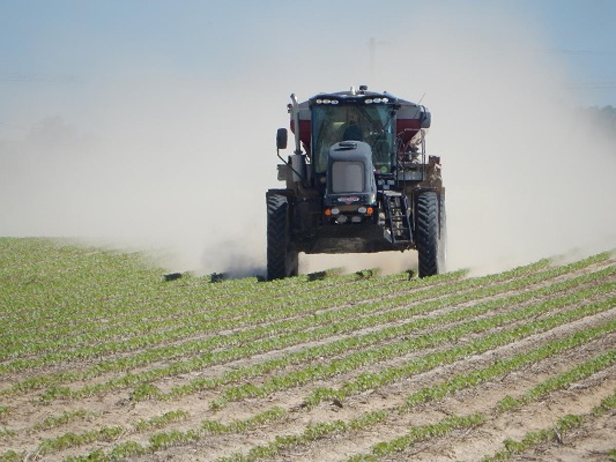 Economist Says Many 2027 Fertilizer Decisions Will Be Made Soon