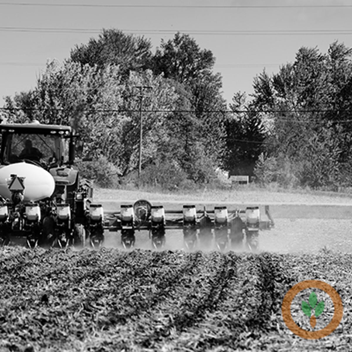 Planting Green Into Cover Crops Is Cutting Input Costs for Central Illinois Farmer