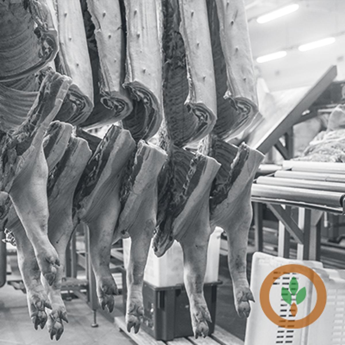 Pork in Cold Storage Rises Above Year Ago Levels