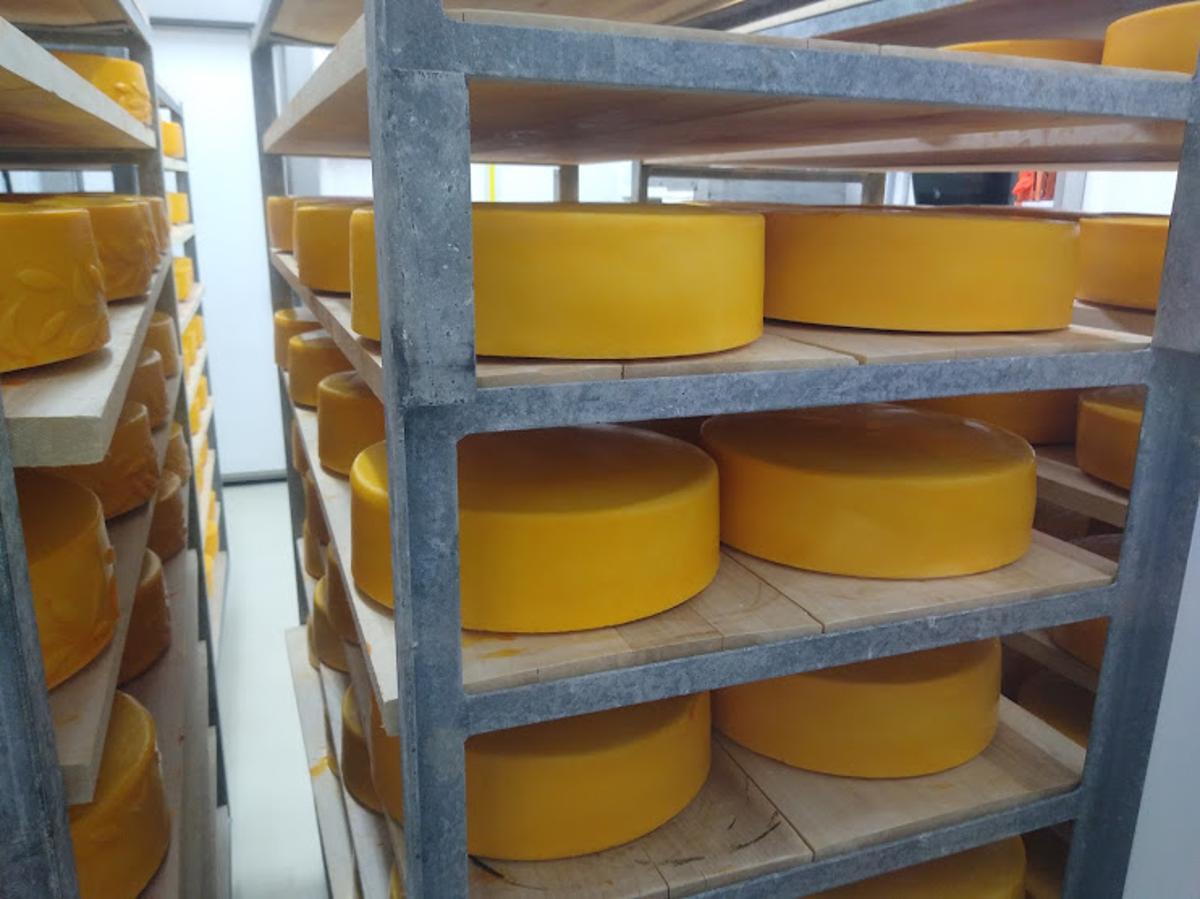 More Dairy Products Are in Cold Storage