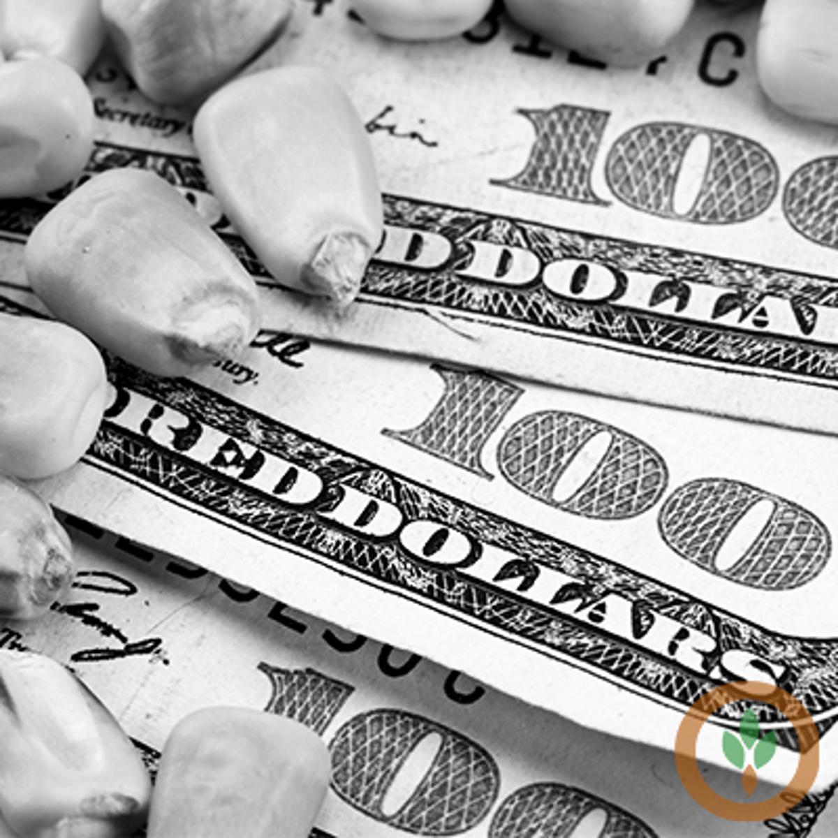 Closing Grain and Livestock Futures: February 27, 2026