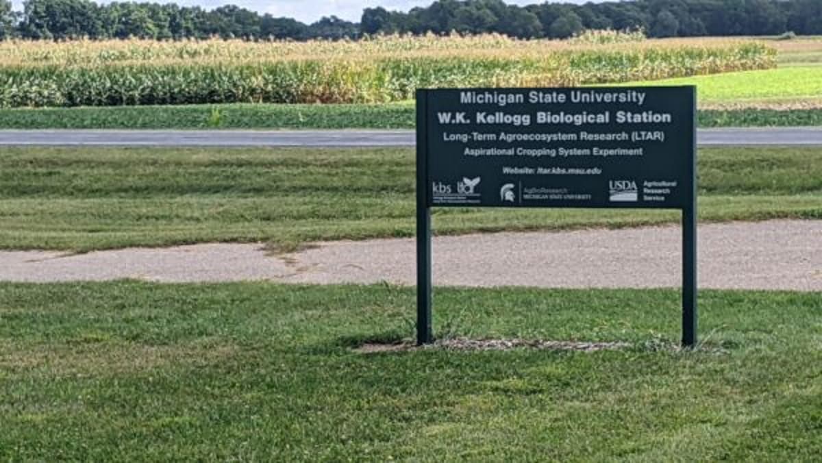 Long-Term Crop Research Studying Ways to Lower Input Costs and Improve Soil Health