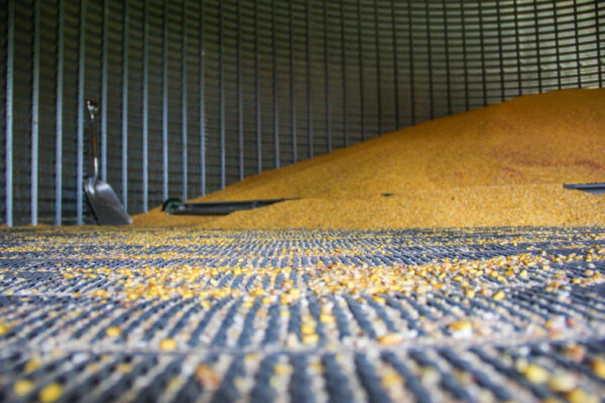 Large Corn Supplies May Limit Price Gains, Analyst Warns