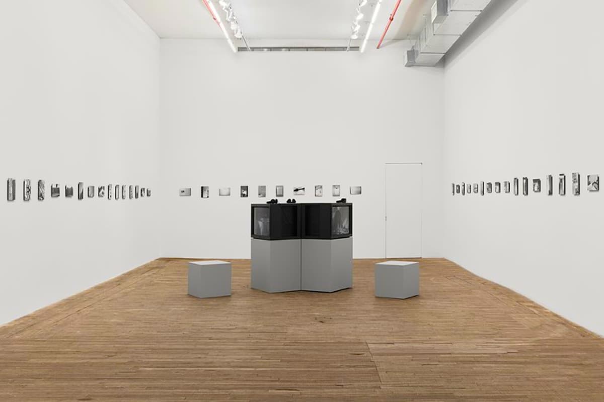 Renée Green at Bortolami