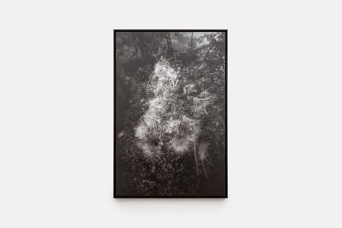 Melik Ohanian at Galerie Chantal Crousel