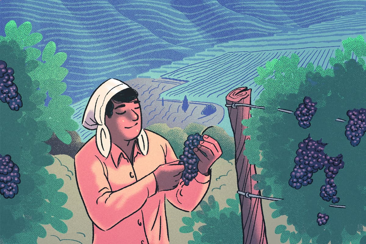 What a Legendary Winemaker Can Teach Us About Leadership