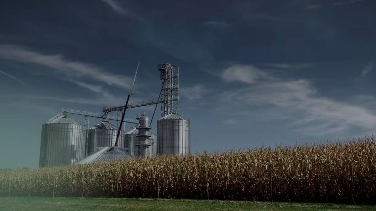 Study Indicates Commercial Potential for Biofuels but South Africa Needs Base Price to Drive ...