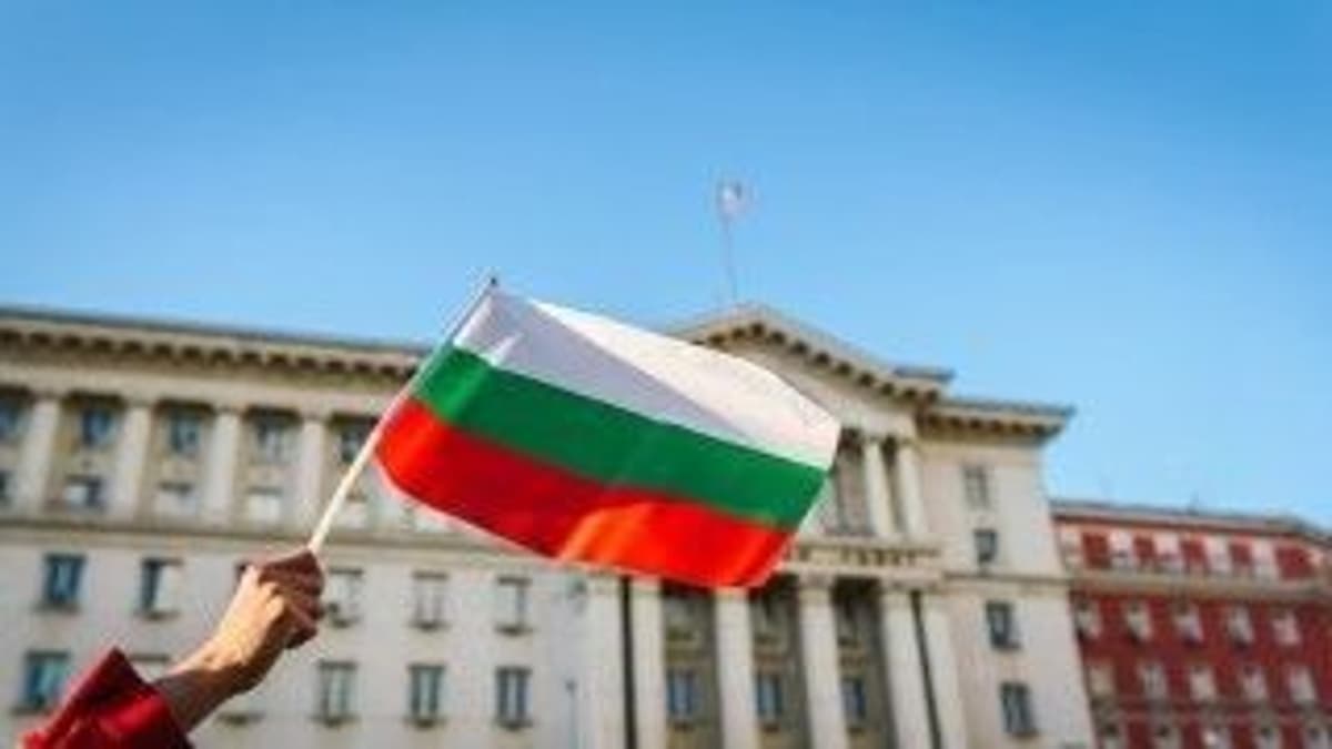 Parliamentary Elections in Bulgaria. Risky Candidate Wins