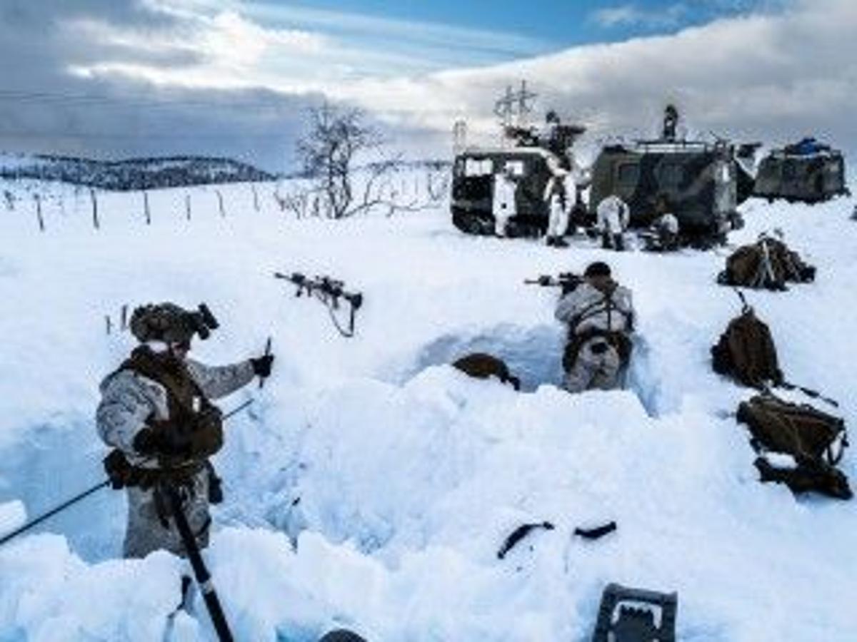 Natural Partnership: Poland and the Nordic Countries