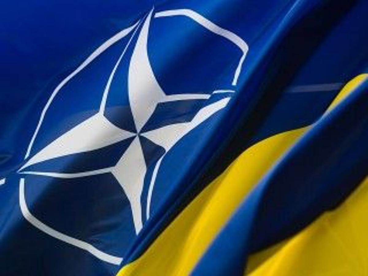 Sweden’s Bold Bet on Ukraine’s NATO Future
