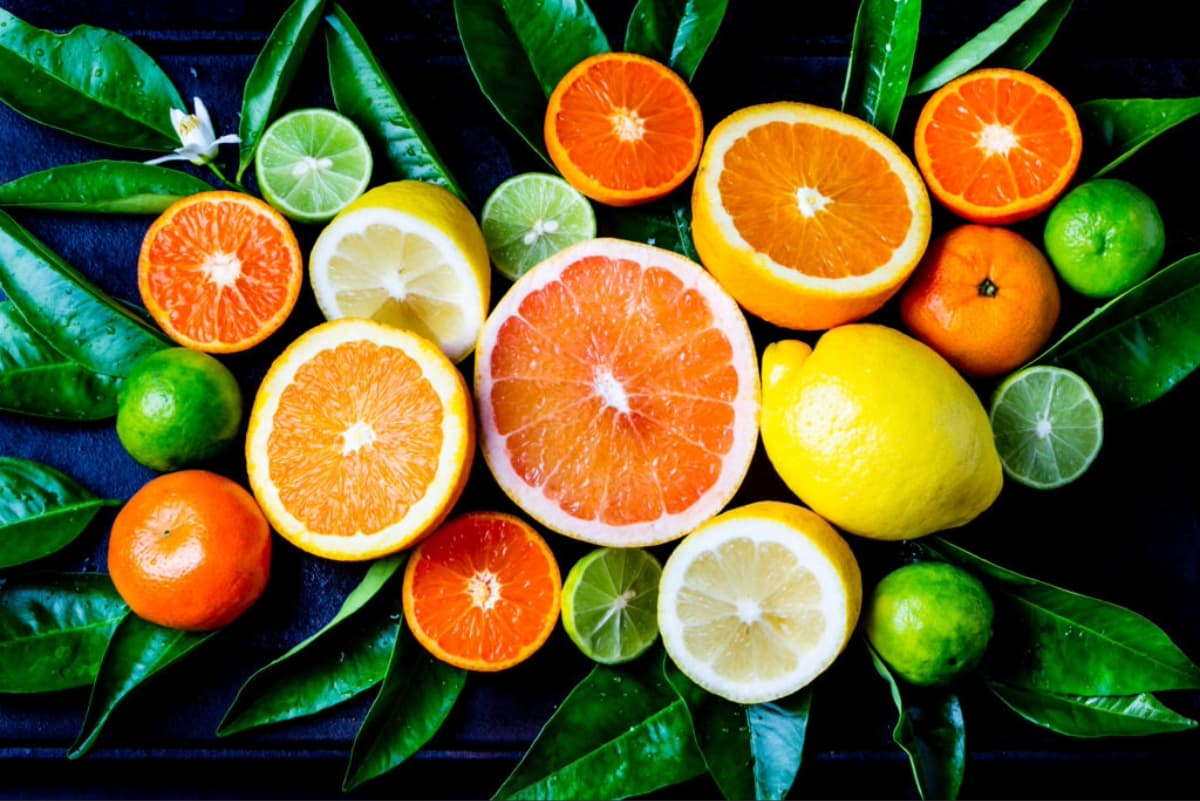 Southern Hemisphere Citrus Forecast: Production Down 6 Percent, Exports Expected to Rise 4 Percent