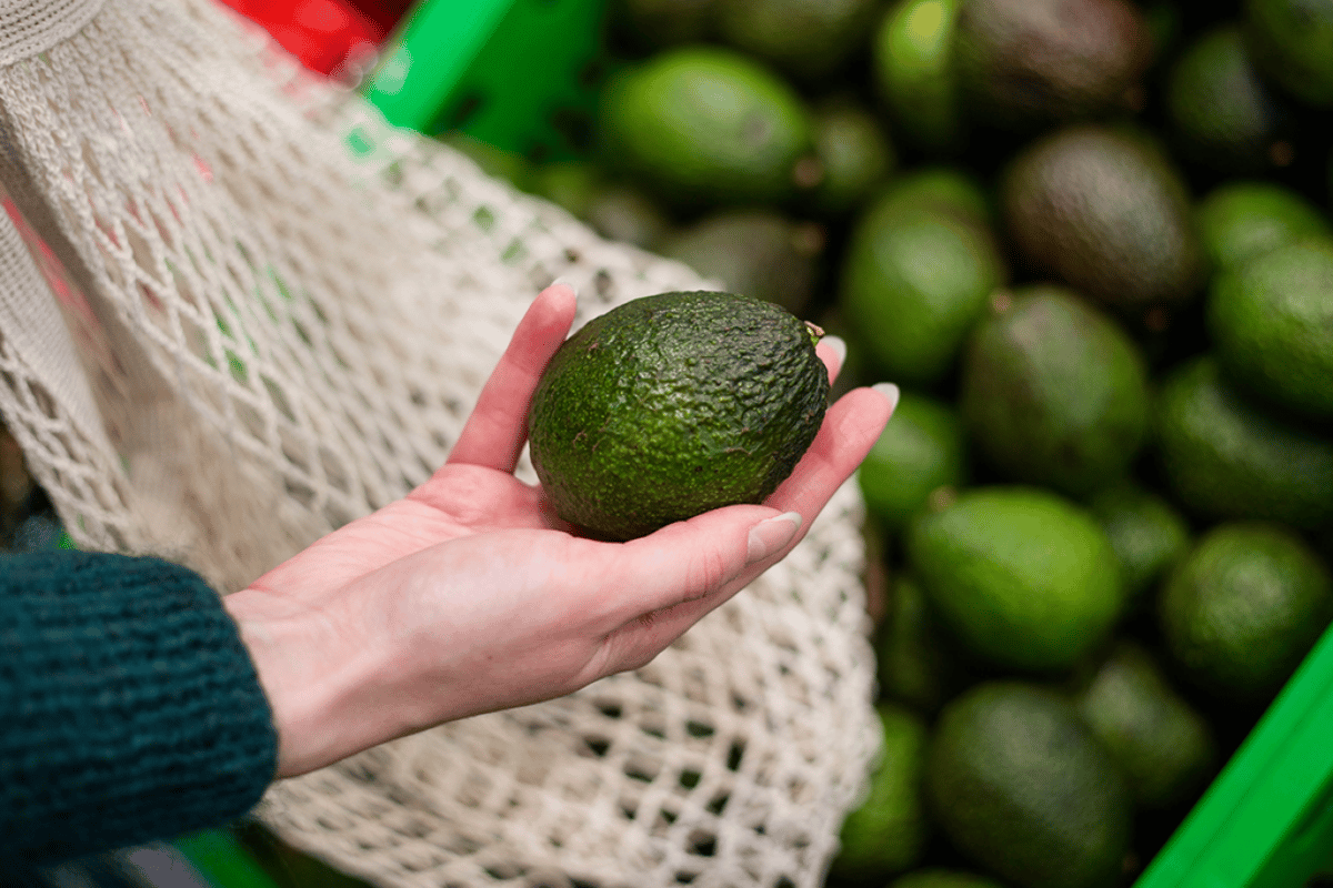 Analysis | 2026 Is the New 2016: Why Avocados Are Still Winning the Cart