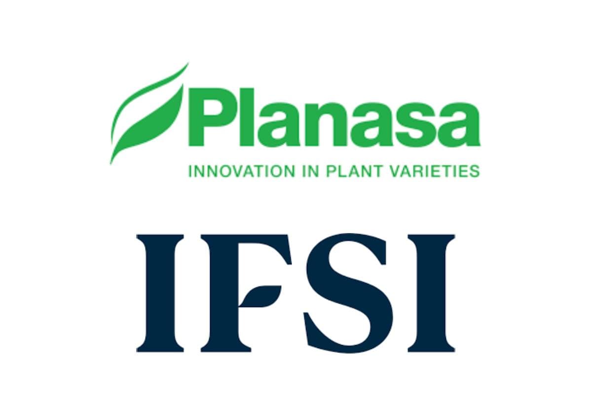 Planasa (EW Group) Acquires Illinois Foundation Seeds