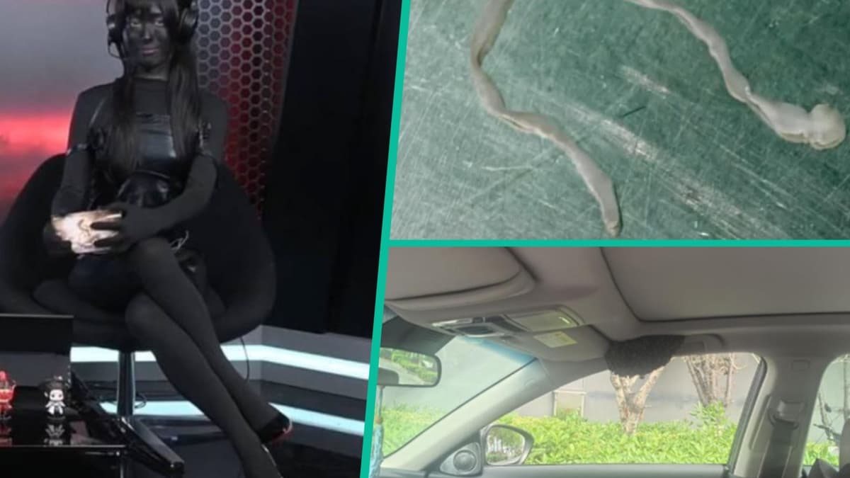 Quirky China: Doctor Removes Worm From Woman’s Brain, Under-Fire Gamer Dyes Her Skin Black