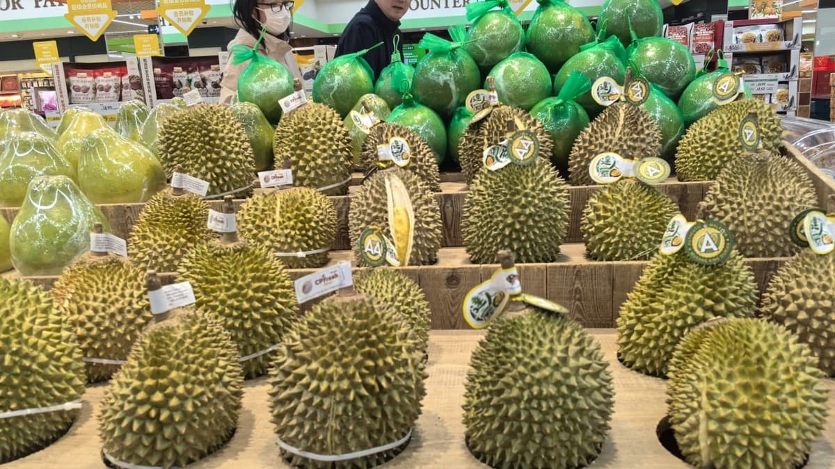 Malaysia’s Durian Growers in ‘Survival Mode’ as Early Glut and Iran War Hit Export Trade