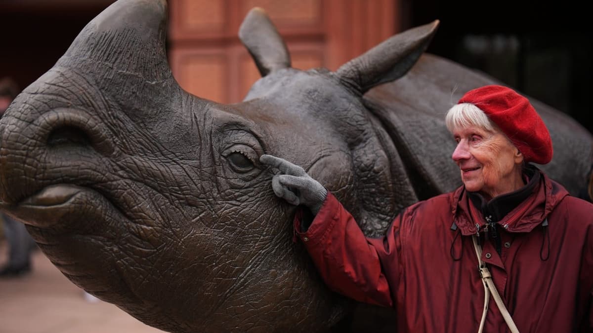How a Zoo’s Sights, Sounds and Smells Can Benefit People with Dementia
