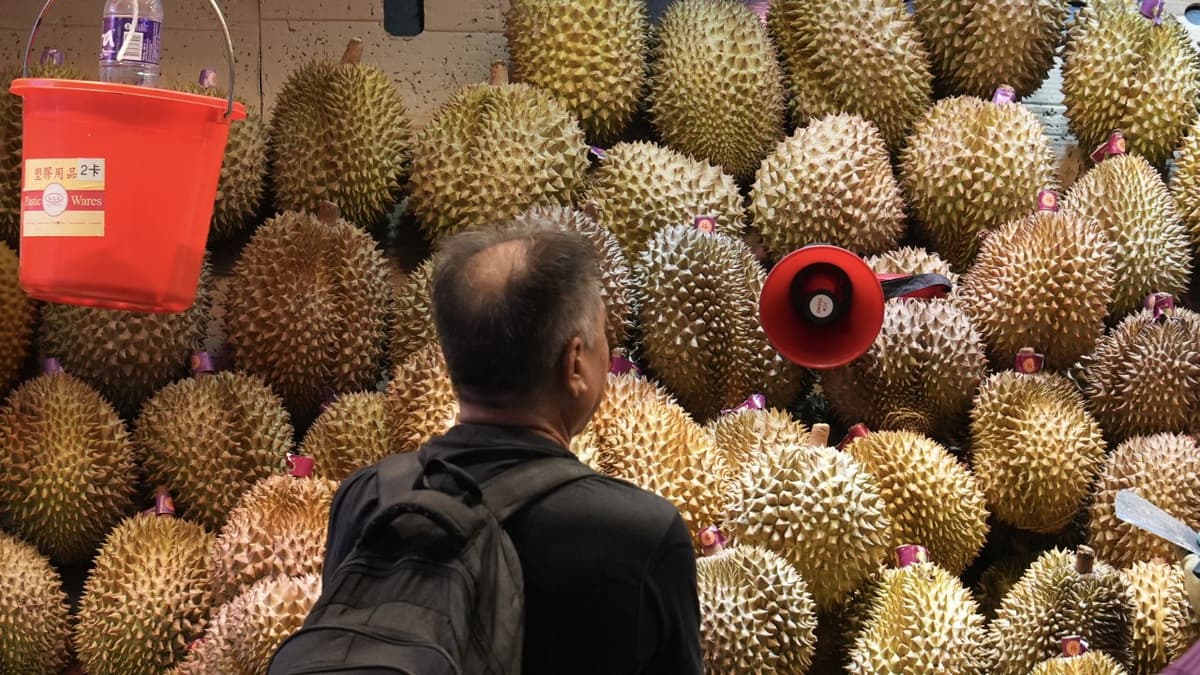 Durian Express? New Southeast Asia Rail Service Cuts Fruit Prices in China