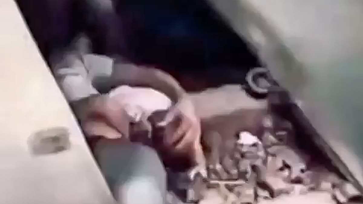 Viral Video of Bangladeshi Father Saving Baby Under Moving Train Raises Safety Concerns