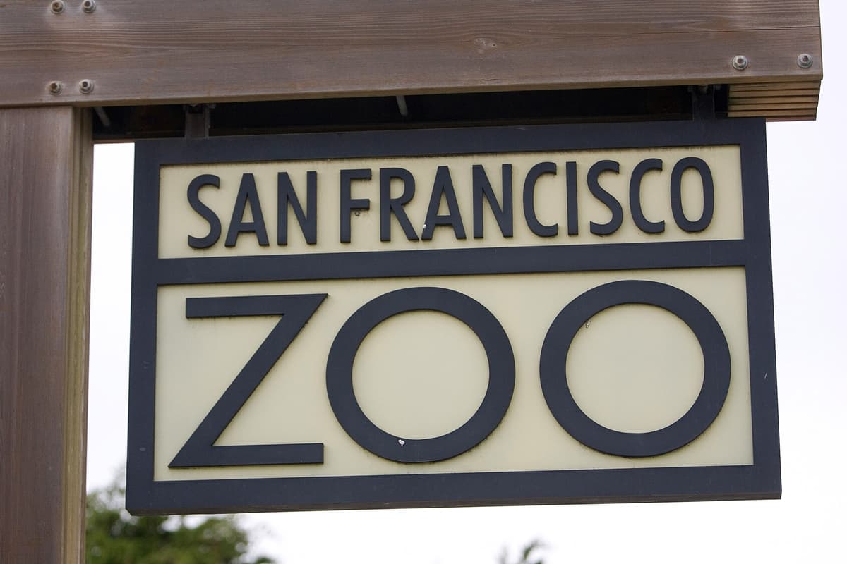 San Francisco Zoo Asks for $8.5M Loan After Audit Reveals Millions in Unapproved Spending