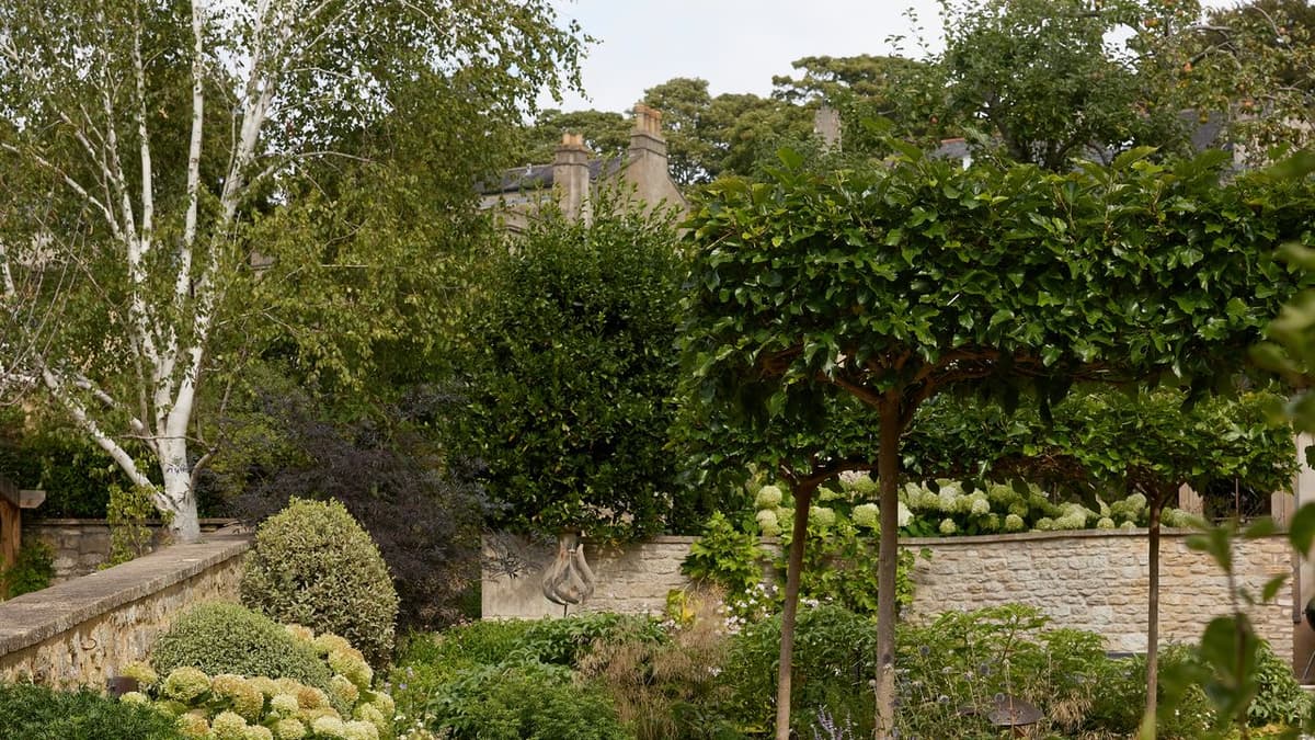 I Asked Landscape Designers: "How Can I Create a More Private Garden, Without Buying Anything New?"