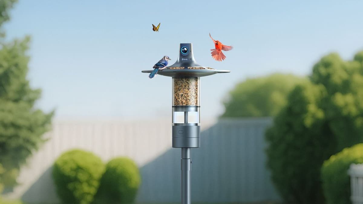 This World-First Bird Feeder Cam with 360-Degree View Sees All in 6K, and I Can't Wait to Try It in...